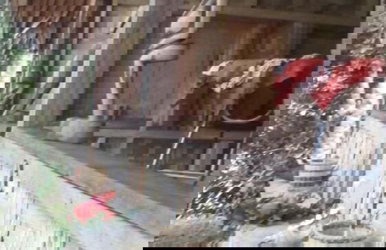 Mahun on the Lagoon Bungalows - Photo 21