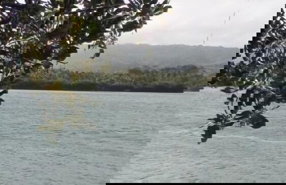 Mahun on the Lagoon Bungalows - Photo 29