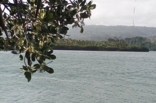 Photo 29 - Mahun on the Lagoon Bungalows