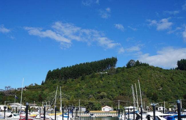 Motuoapa Bay Chalets - Foto 48