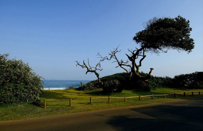 6 Dolphin Views - Near Umdloti Beach - Foto 20