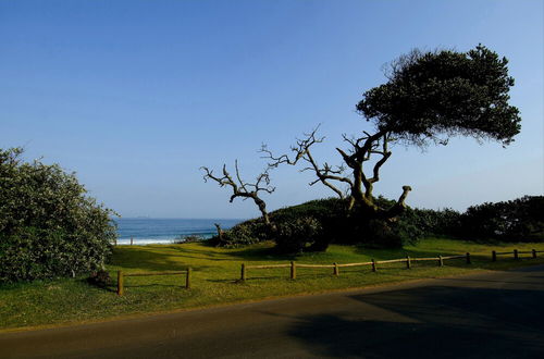 Photo 20 - 6 Dolphin Views - Near Umdloti Beach