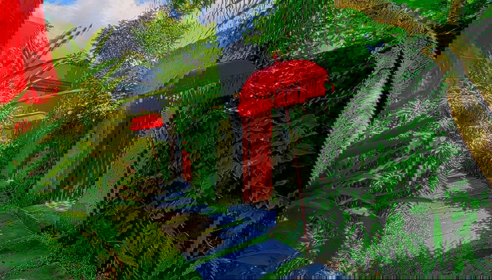 Imagem principal