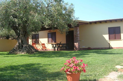 Foto 13 - House Surrounded by Olive Trees