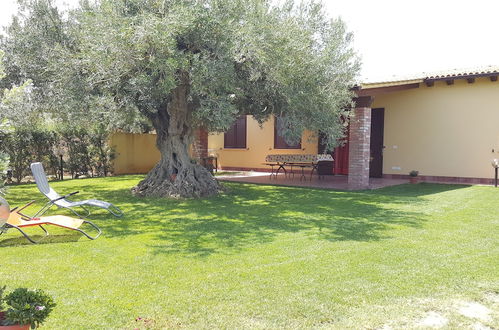 Foto 8 - House Surrounded by Olive Trees