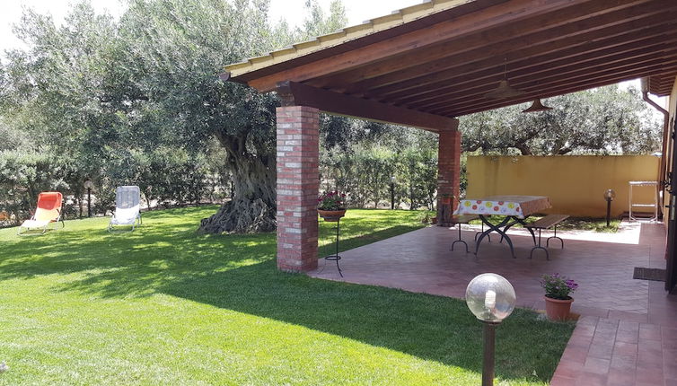 Photo 1 - House Surrounded by Olive Trees