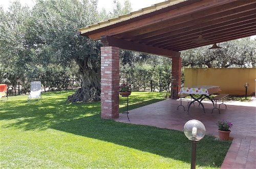 Photo 1 - House Surrounded by Olive Trees