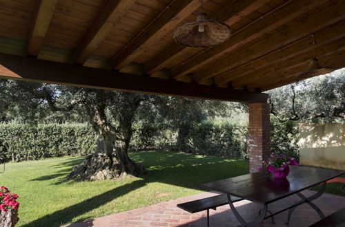 Photo 9 - House Surrounded by Olive Trees