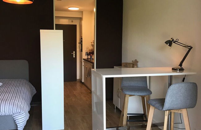 Large Studio Near Epfl And Lausanne City Center - Foto 12