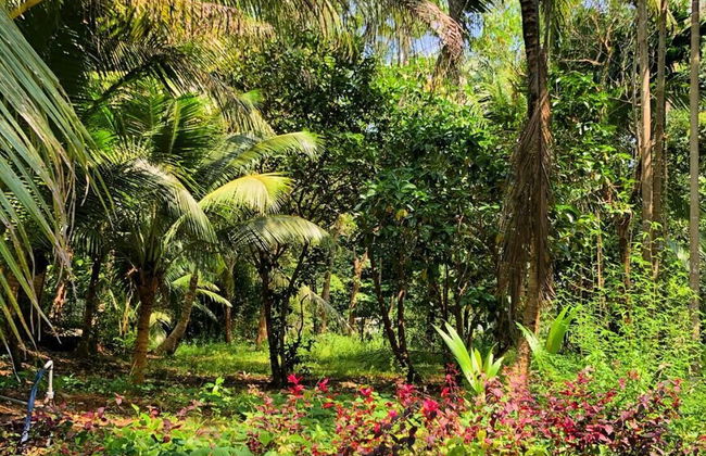 Seana Resort Phu Quoc - Foto 21