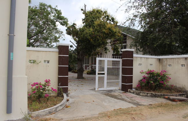 Friends Homestay - Hostel - Foto 35