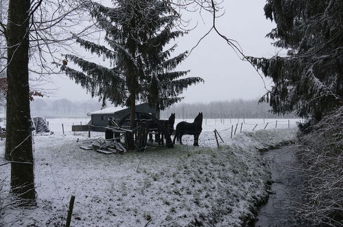 Photo 51 - Simplistic Villa in Mesch With Garden