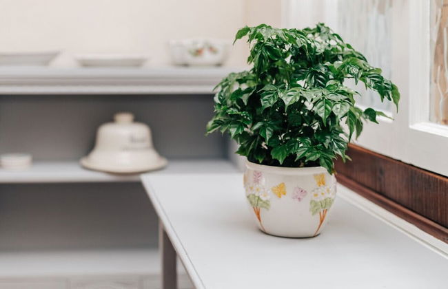 Park End House - Parking Pet Friendly - From 180 Per Night - Foto 71