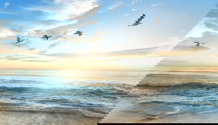 Foto 1 - Terrace on Ocean - 3