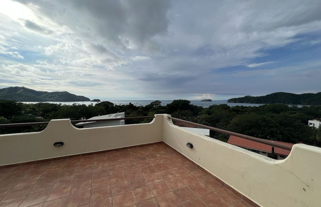 Tropical Gardens - Foto 49