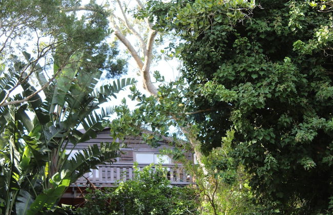 Treehouse Cottage - Foto 1