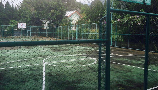 Campo de basquetebol
