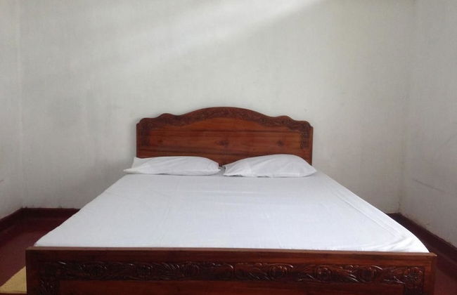 Villahredpalm - Photo 5