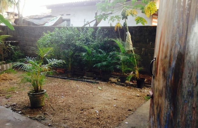 Villahredpalm - Photo 18