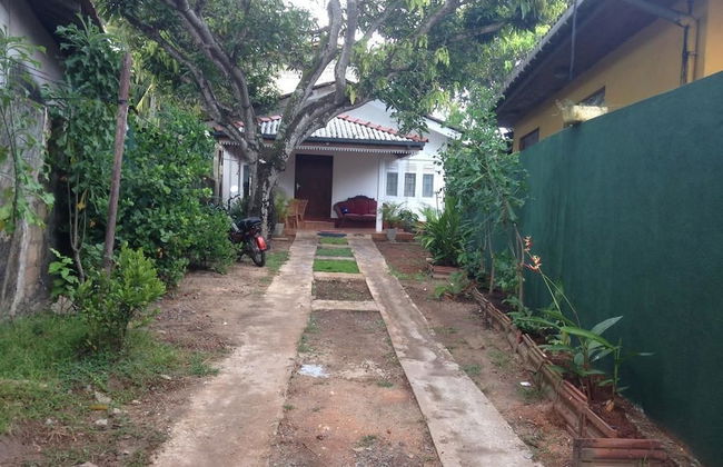 Villahredpalm - Photo 16