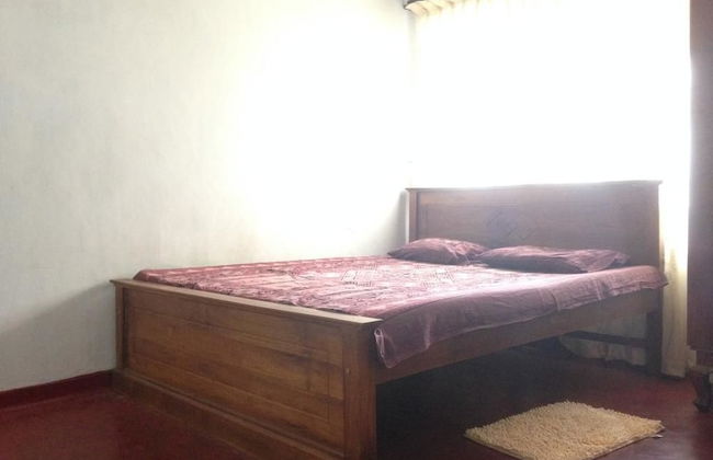 Villahredpalm - Photo 2