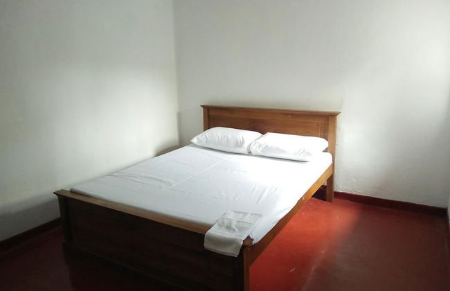 Villahredpalm - Photo 6