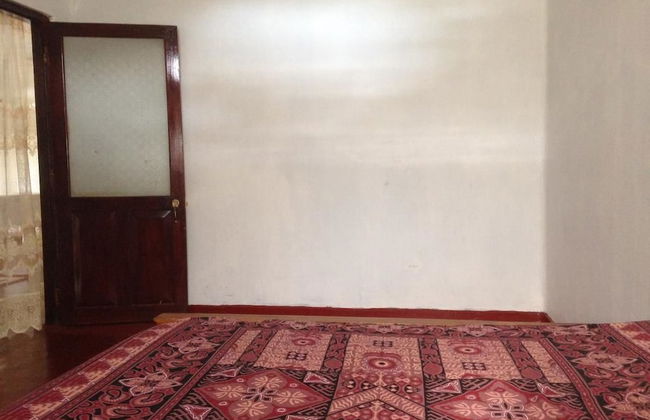 Villahredpalm - Photo 3