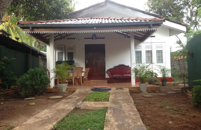 Villahredpalm - Photo 19