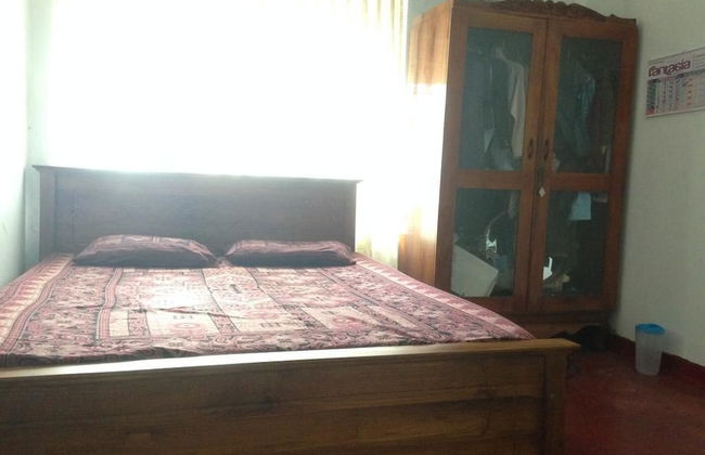 Villahredpalm - Photo 4