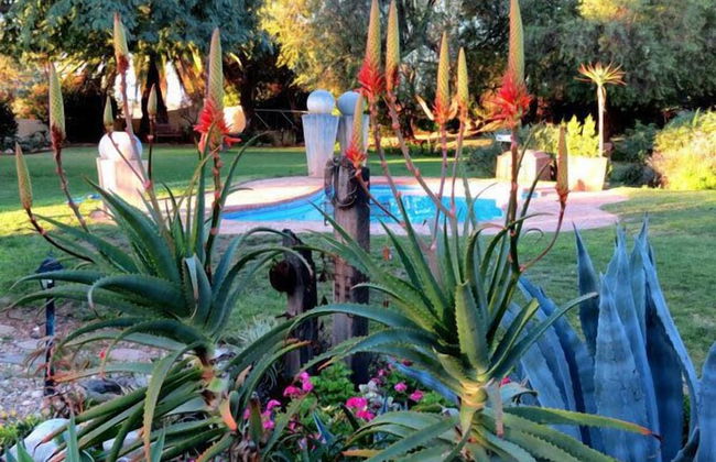 Thylitshia Villa - Foto 40