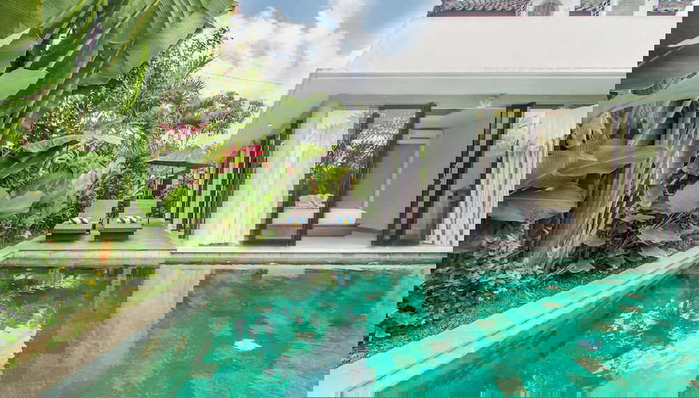 Imagem principal
