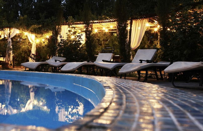 Cross Apartments and Tours - Photo 30