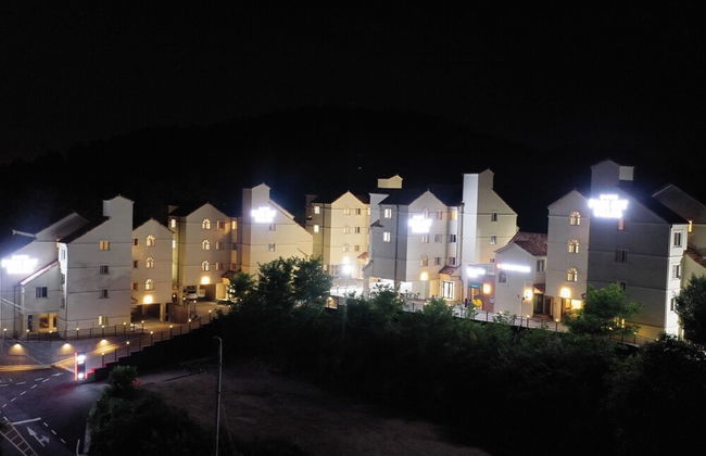 Buyeo Park Art Villas - Foto 1