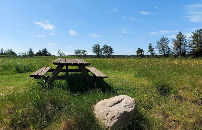 Lovely Holiday Home in Pandrup near Sea - Foto 17