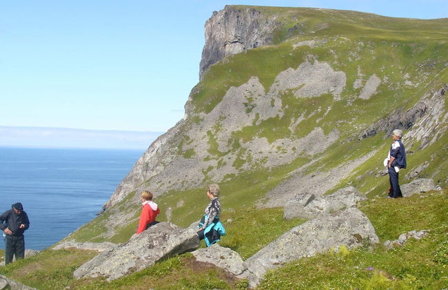 4 Person Holiday Home in Skatvik-by Traum - Foto 10