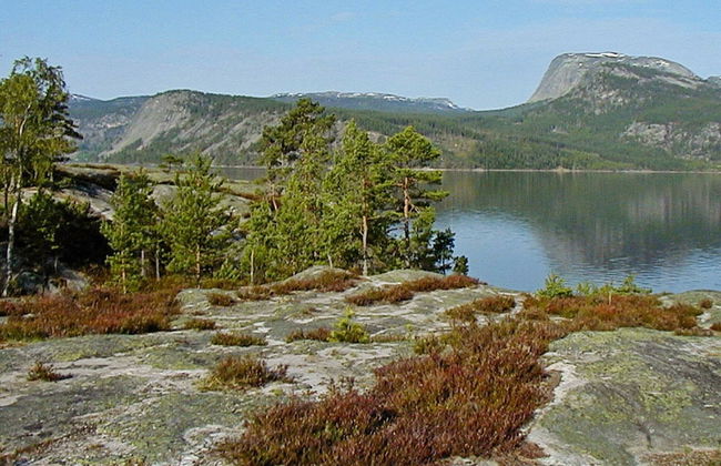 8 Person Holiday Home in Vrådal - Photo 16