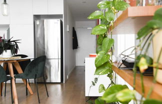 Photo 1 - Cosy Apartment in Trendy Collingwood