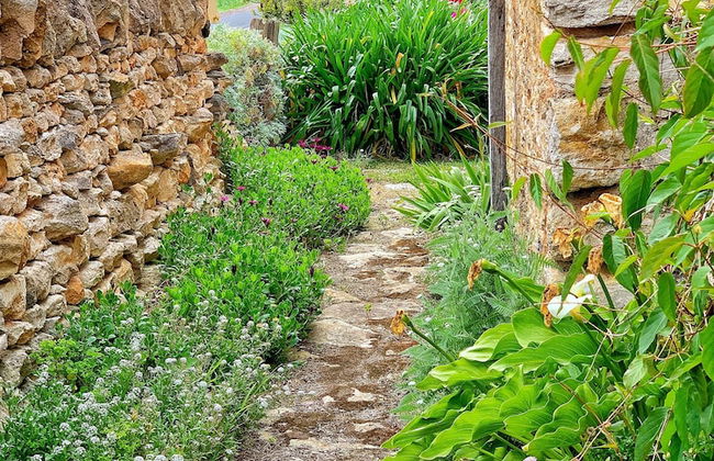 Cherry Plum Cottages - Photo 44