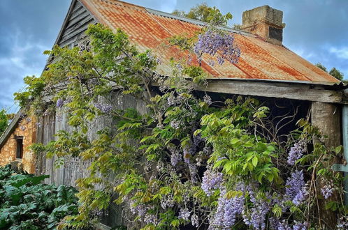 Photo 50 - Cherry Plum Cottages