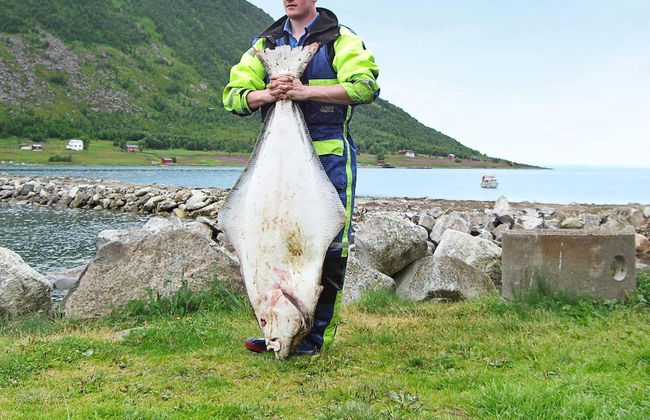 10 Person Holiday Home in Kaldfarnes-by Traum - Foto 24