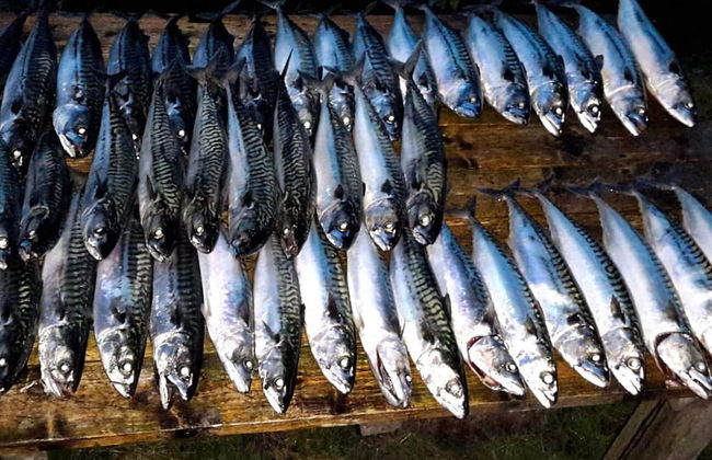 10 Person Holiday Home in Kaldfarnes-by Traum - Foto 27