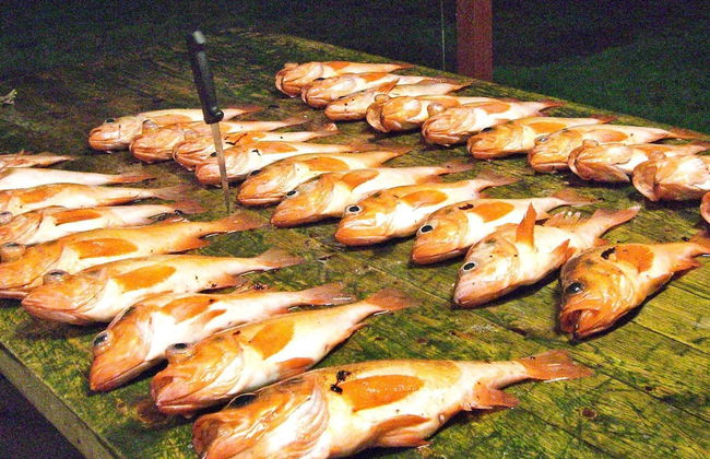 10 Person Holiday Home in Kaldfarnes-by Traum - Foto 30