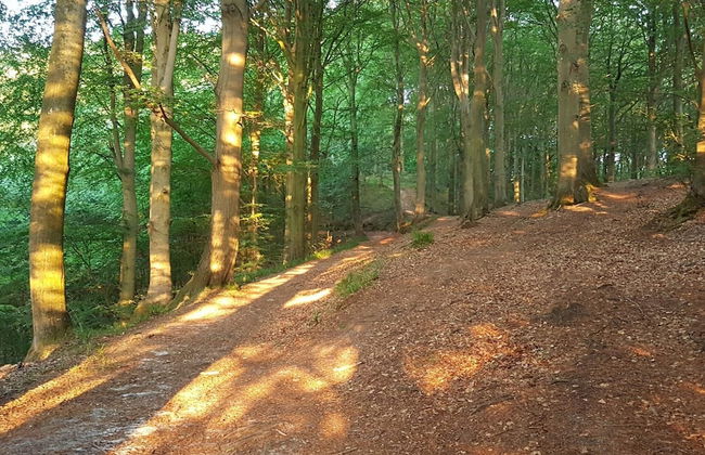 Cozy Retreat Near Beach - By Traum Ferienwohnungen - Foto 11