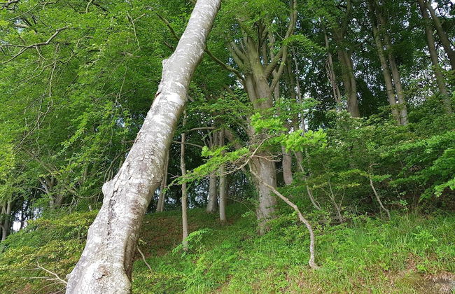 Cozy Retreat Near Beach - By Traum Ferienwohnungen - Foto 9