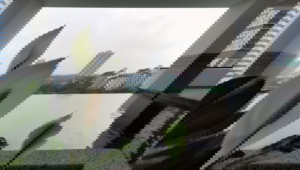 Image principale