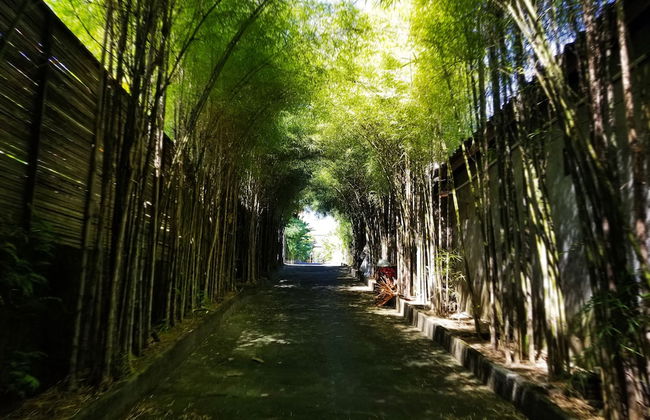 Kampoeng Bamboo - Foto 23