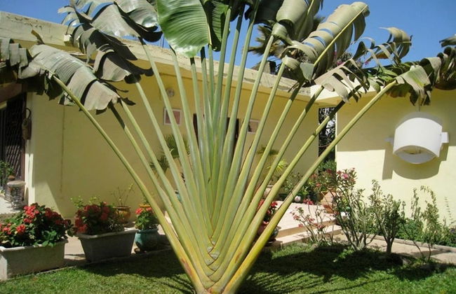 Studio in Tropical Garden - Foto 1