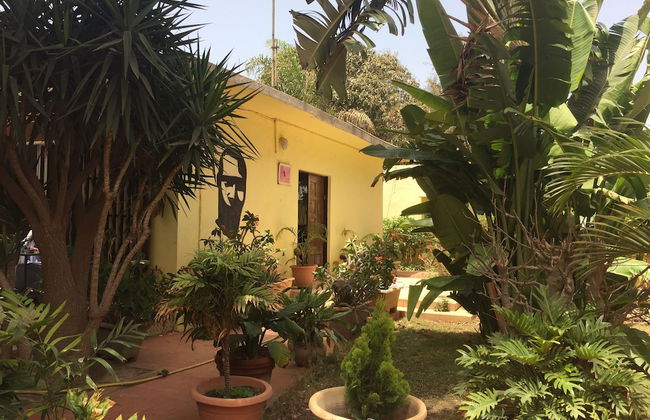 Studio in Tropical Garden - Foto 17