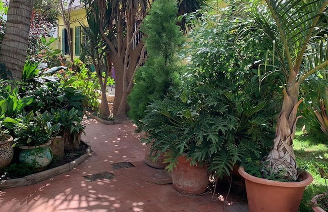 Studio in Tropical Garden - Foto 14