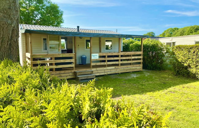 Holidaychalets Zuidlaren Tynaarlo - Foto 1